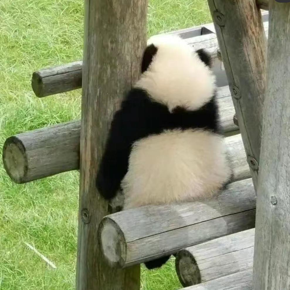 🥱困