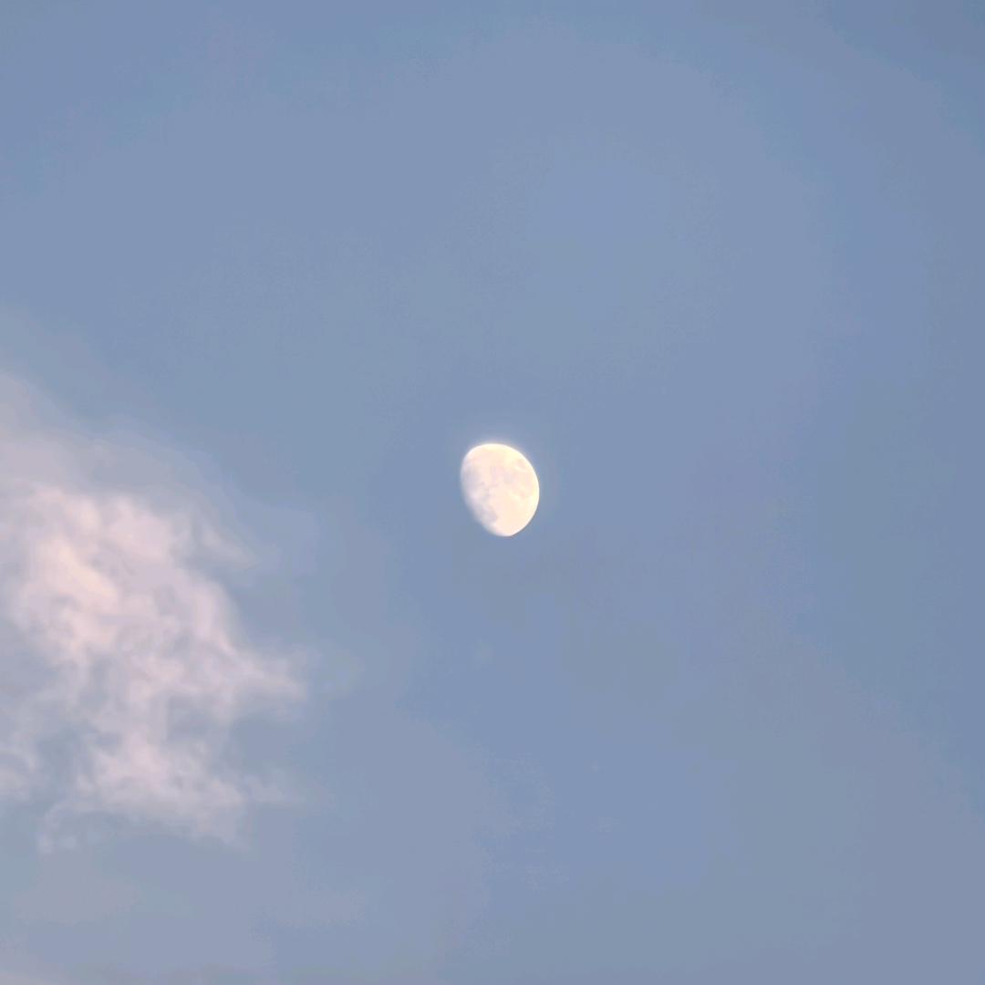 纤歌凝