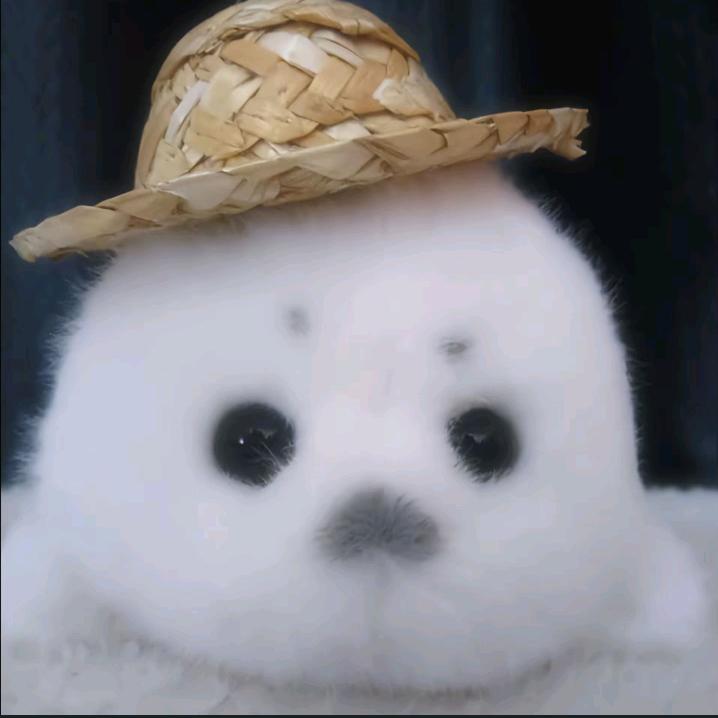 麻辣海豹.