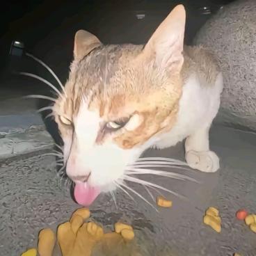 搞点大米吃吃