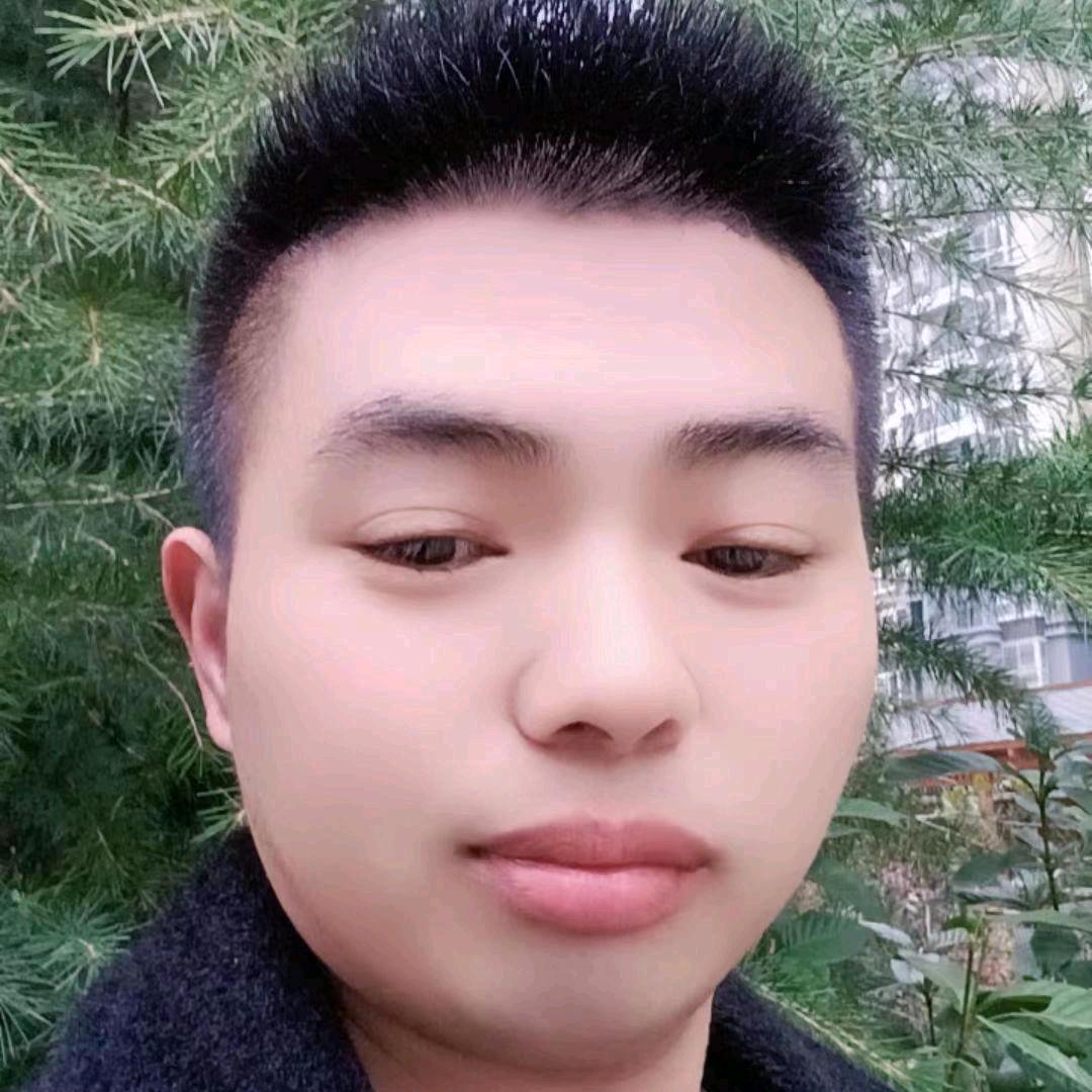 小罗罗