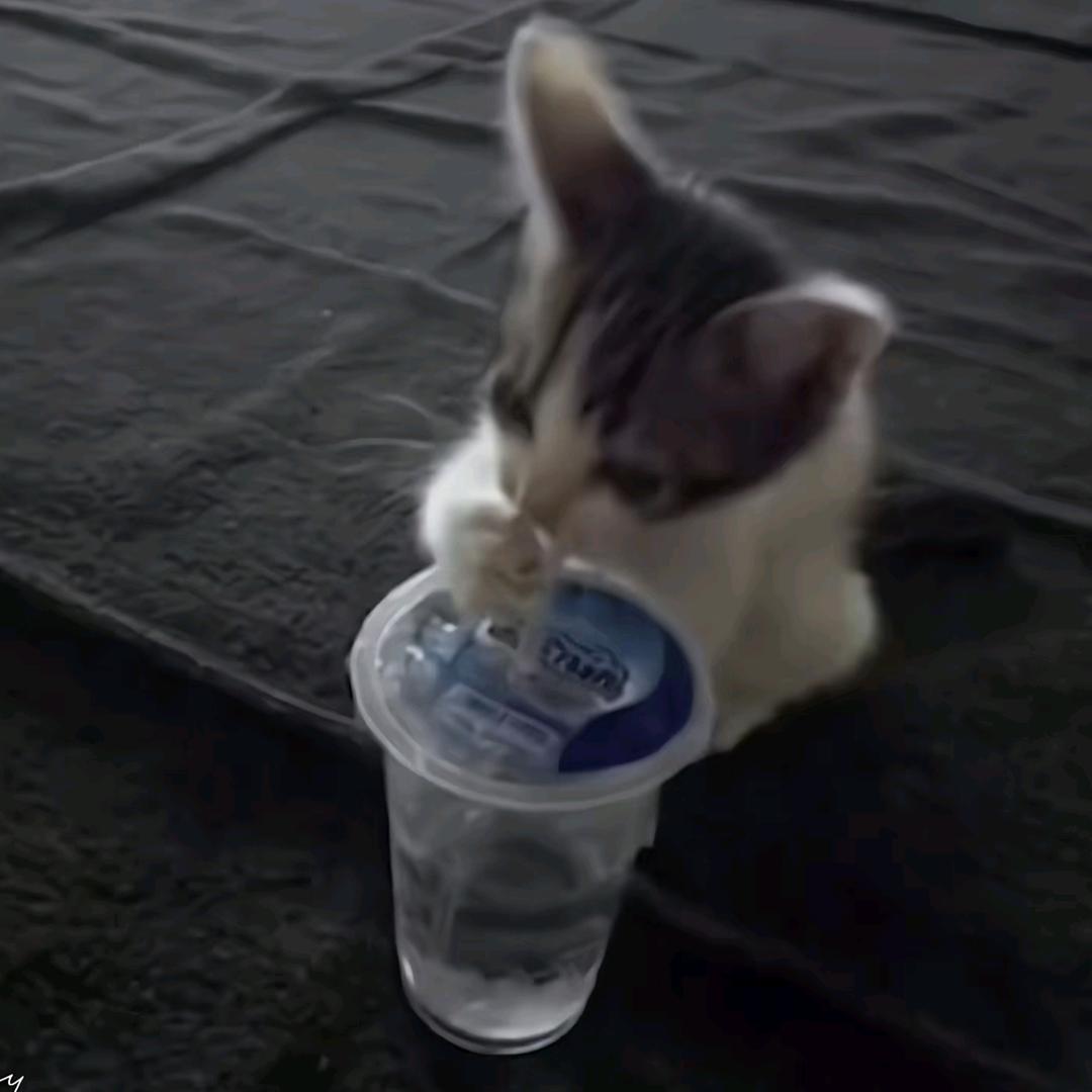 超音速新郎官轰炸肉夹馍施工现场