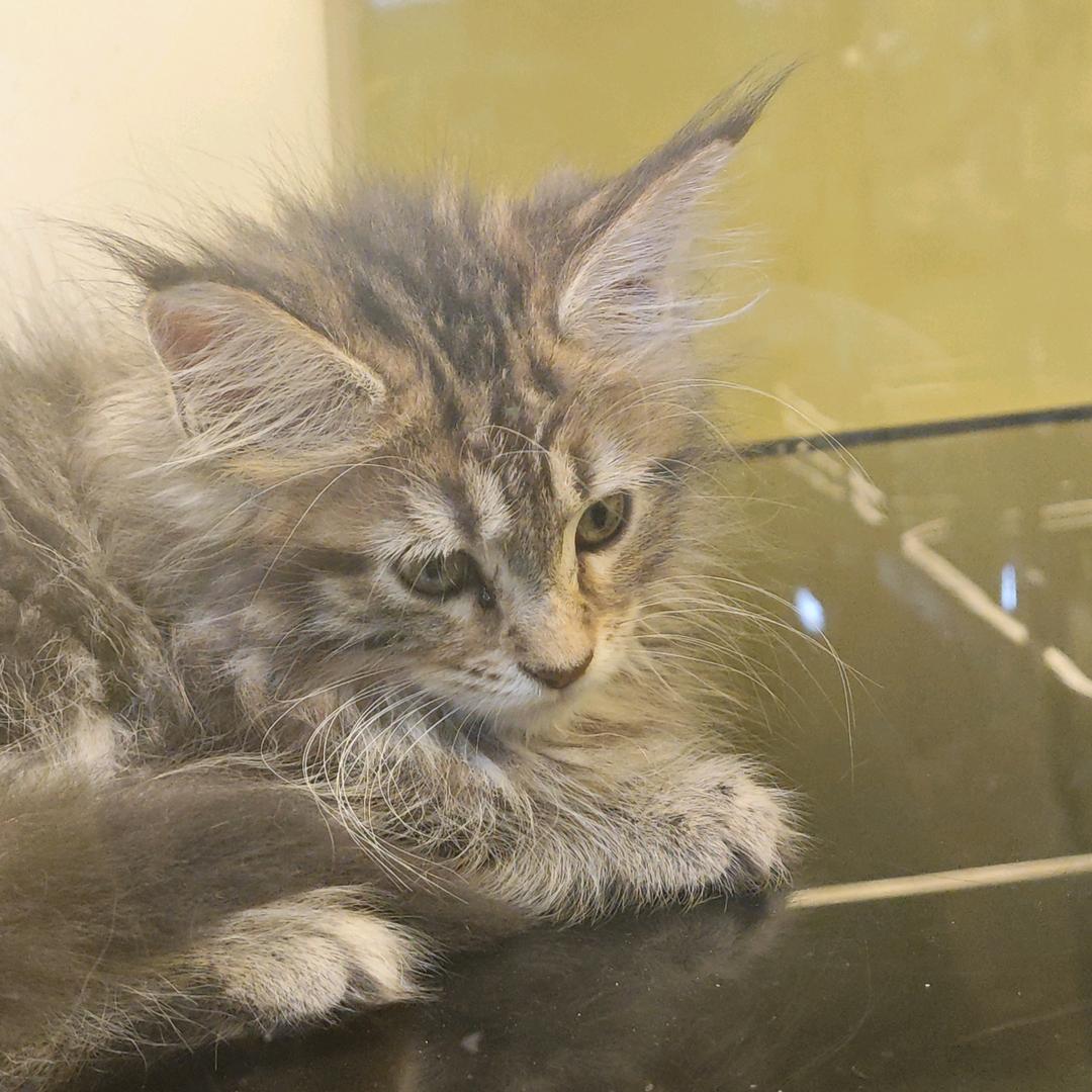 地球赶紧完蛋吧!