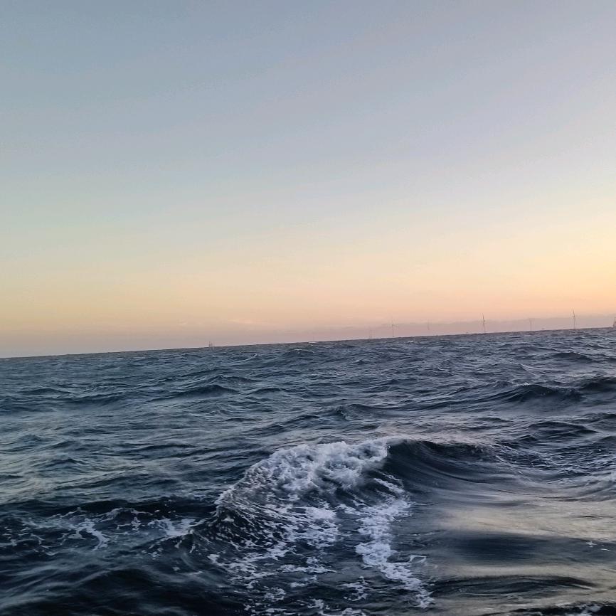 ✔臭蛋⊙▽⊙、