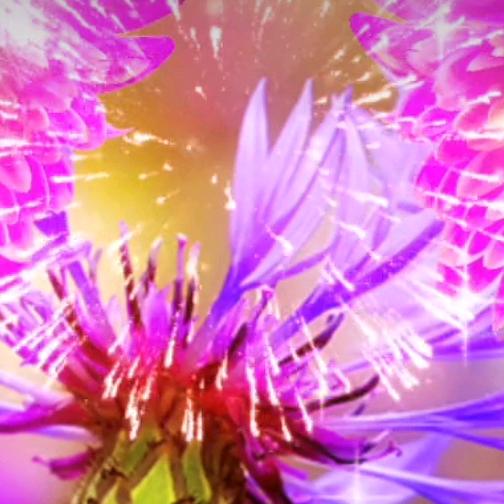 打工苦打工累打工就是活受罪