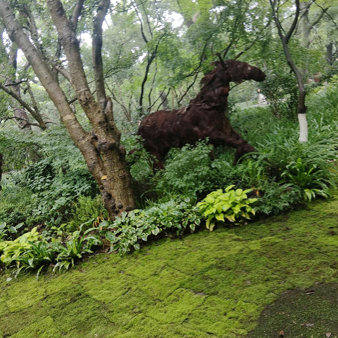 开开心心每一天