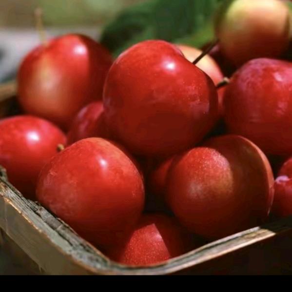 别说无所谓_228827867