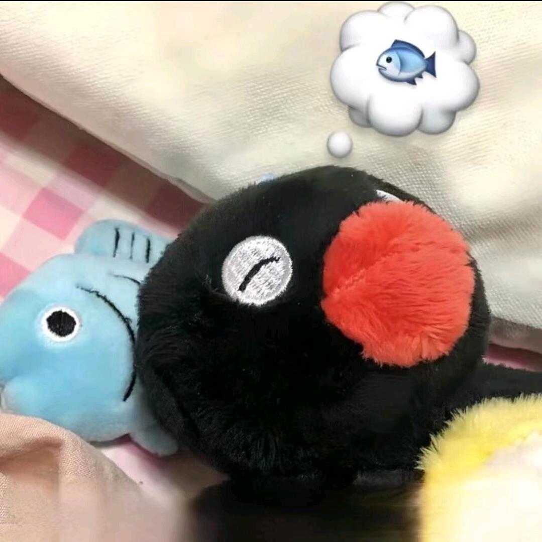 抓鱼