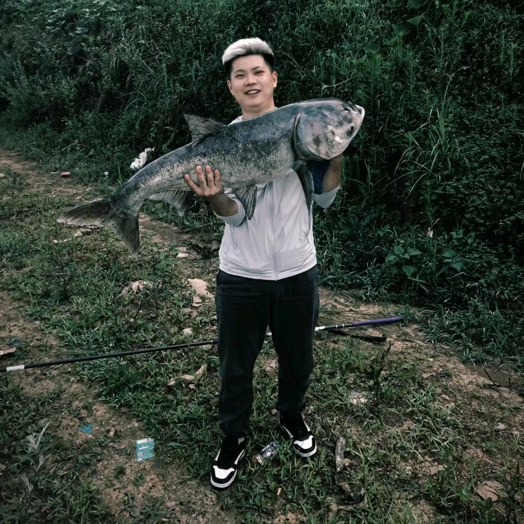 小杨🎣