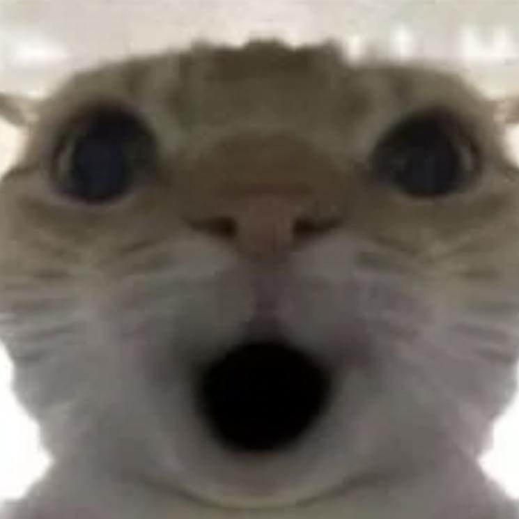 贝塔（三角洲行动）