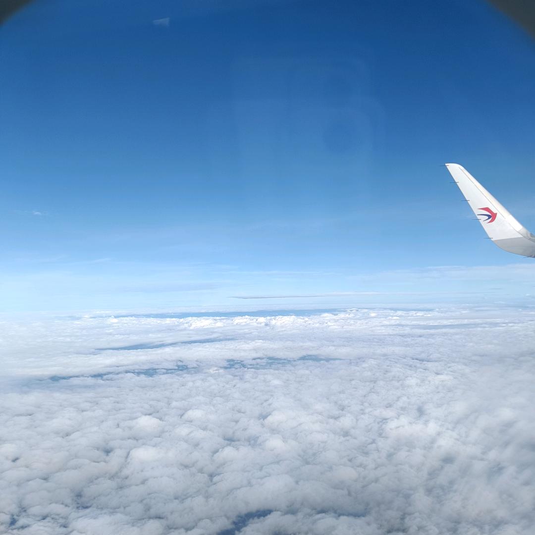 字天兰