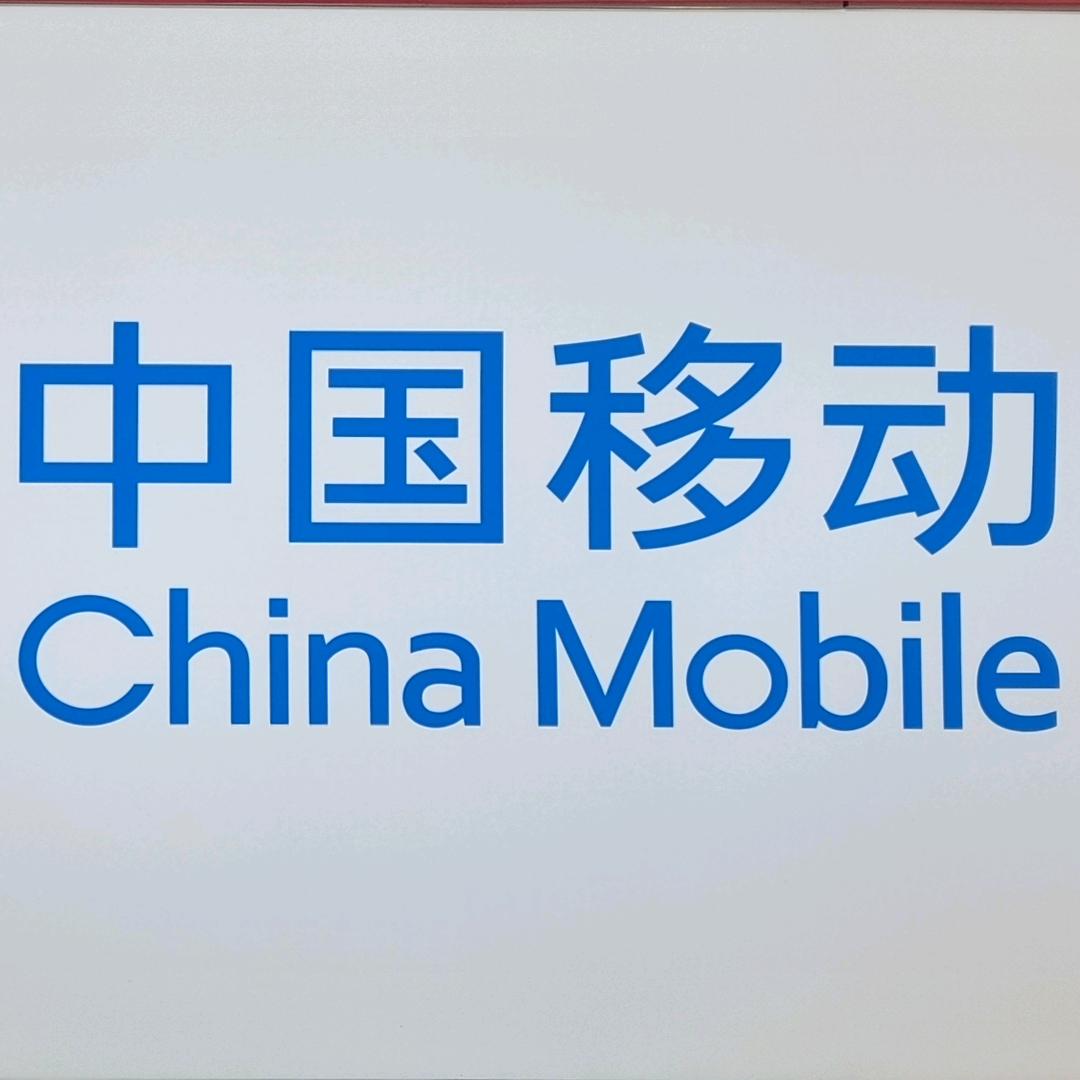 中国移动（汝阳新华路营业厅）