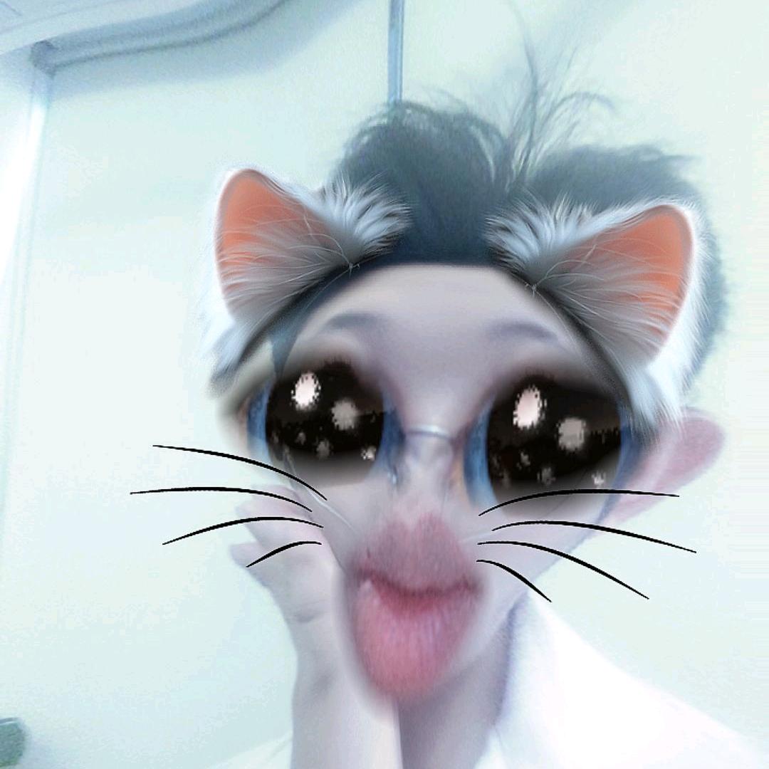 晓阳的晓不是小