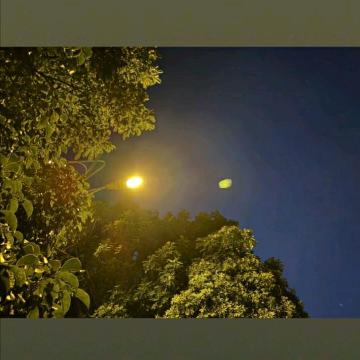 ℳ听说ꦿ糖不甜了