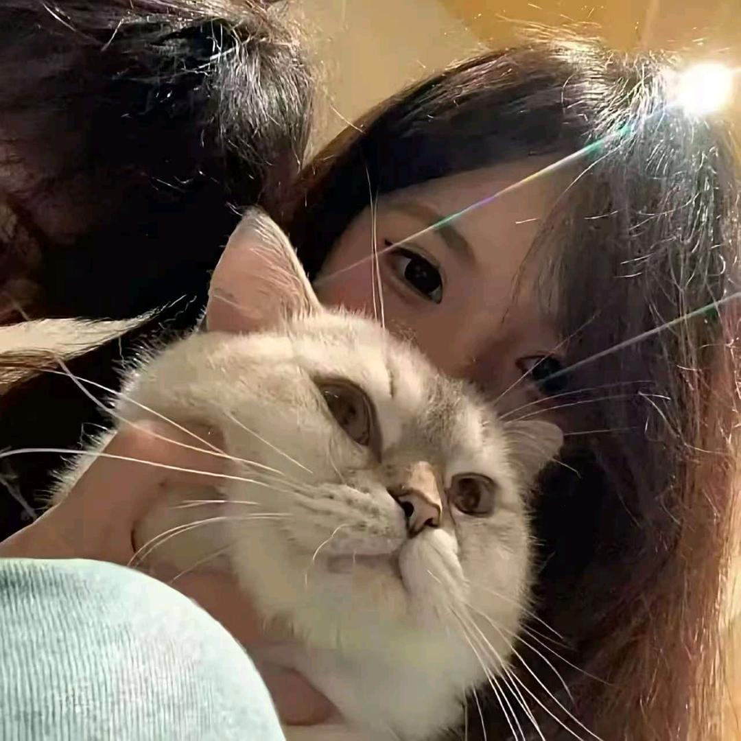 二十四桥花月