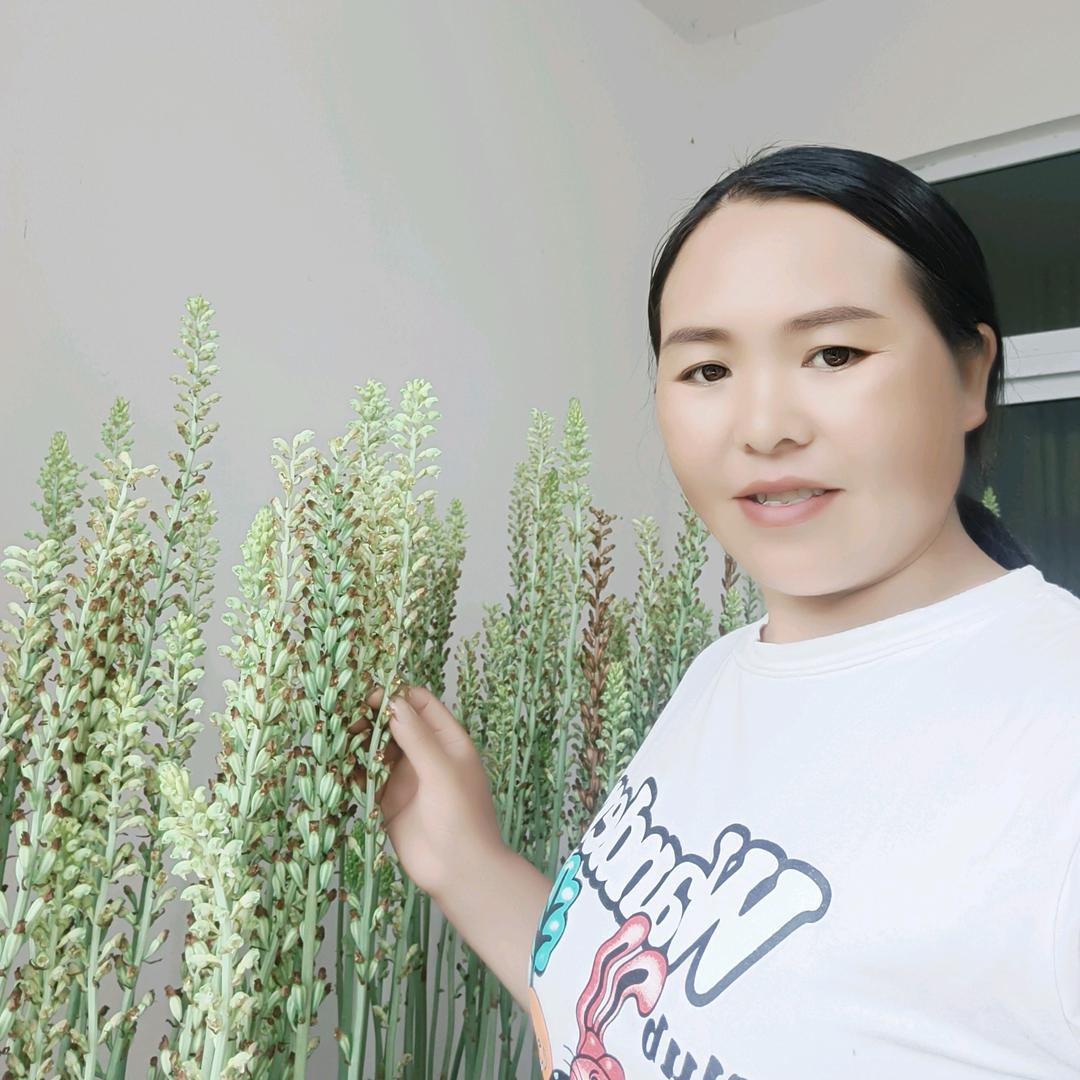 天麻妹