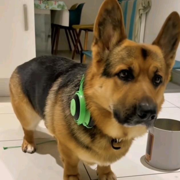 断水流大师兄.抽刀断水水更流.