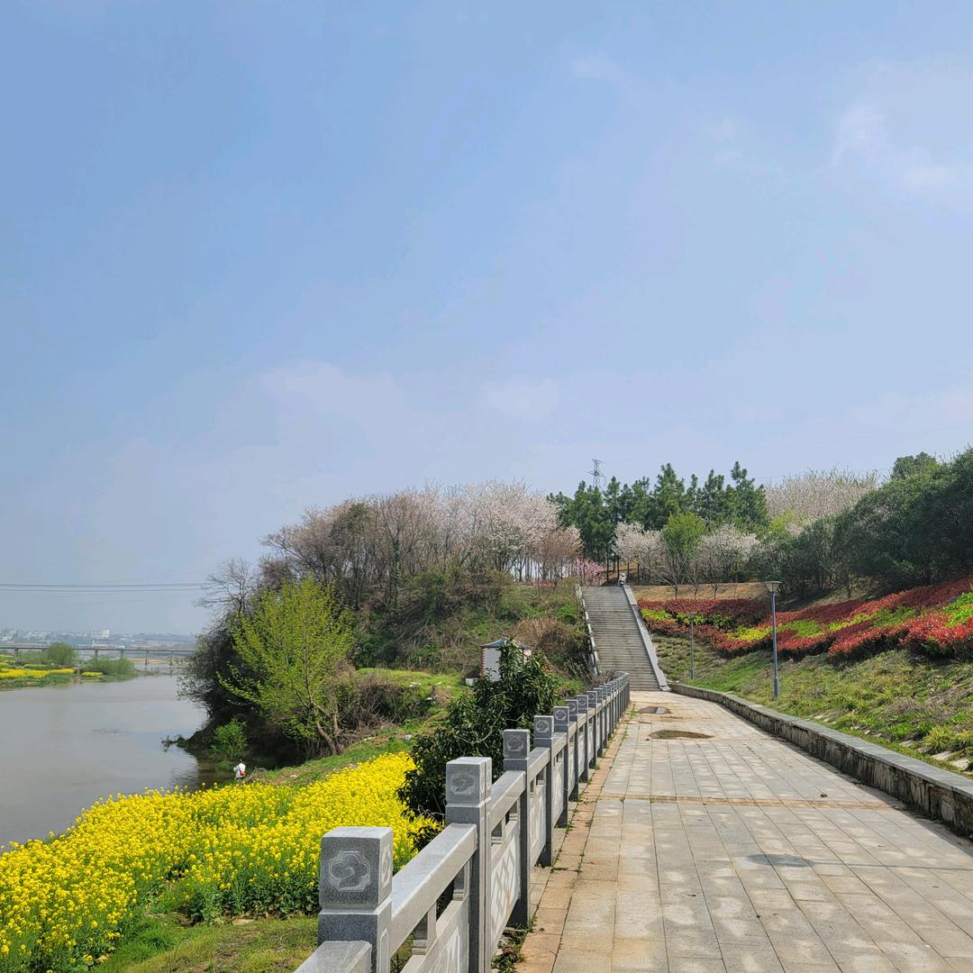 @方11
