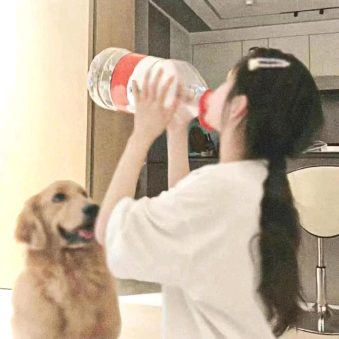 朕！何错之有？