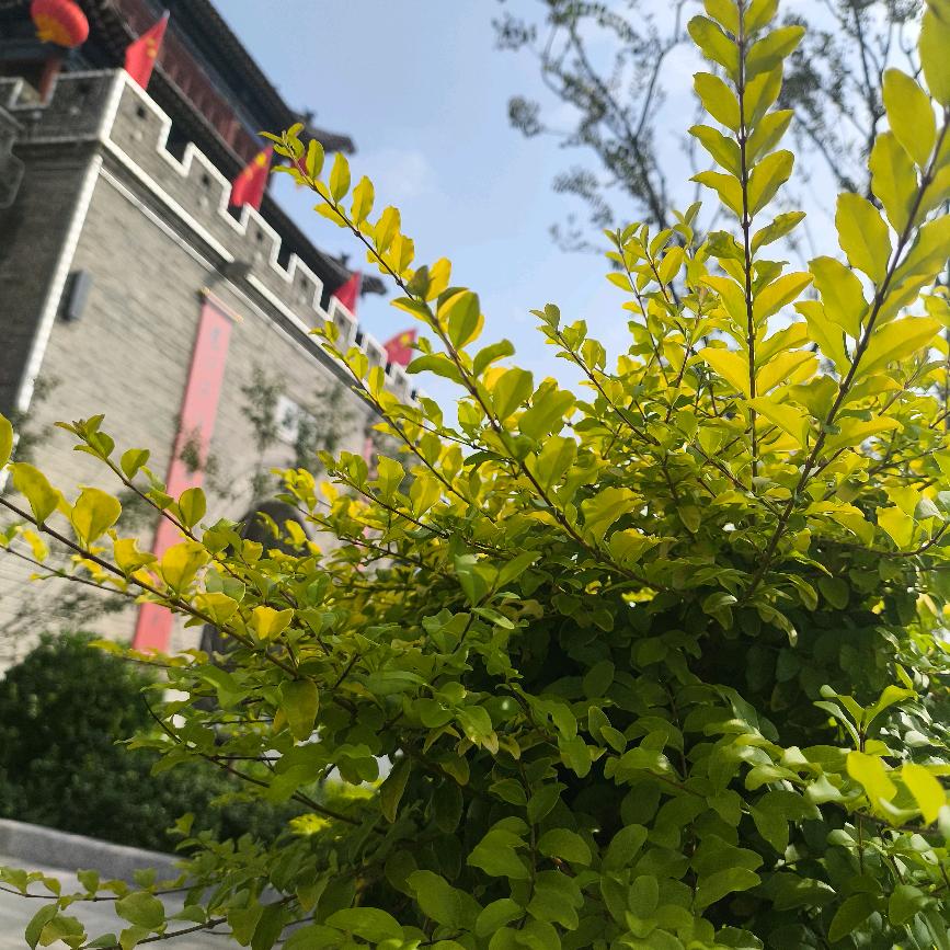 平凡