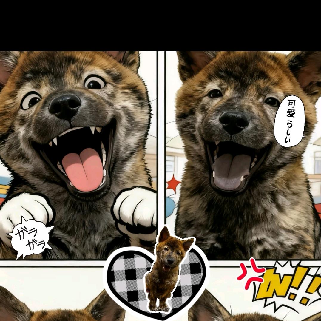 ✨🌈紫Mi雅🐾✨