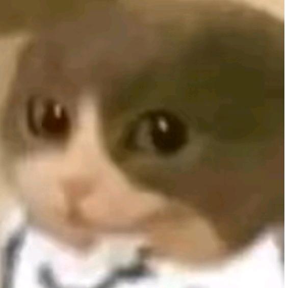 忆相逢