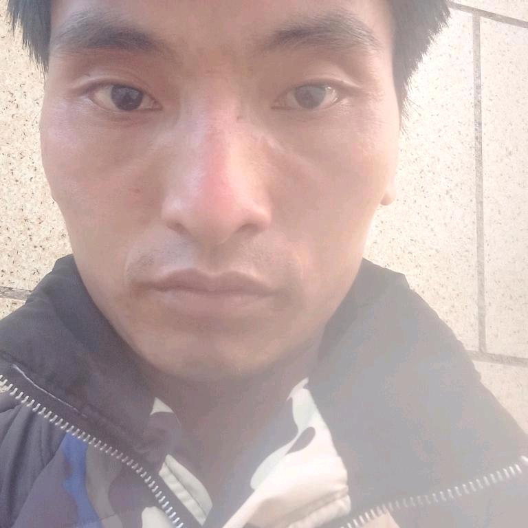 小鳳