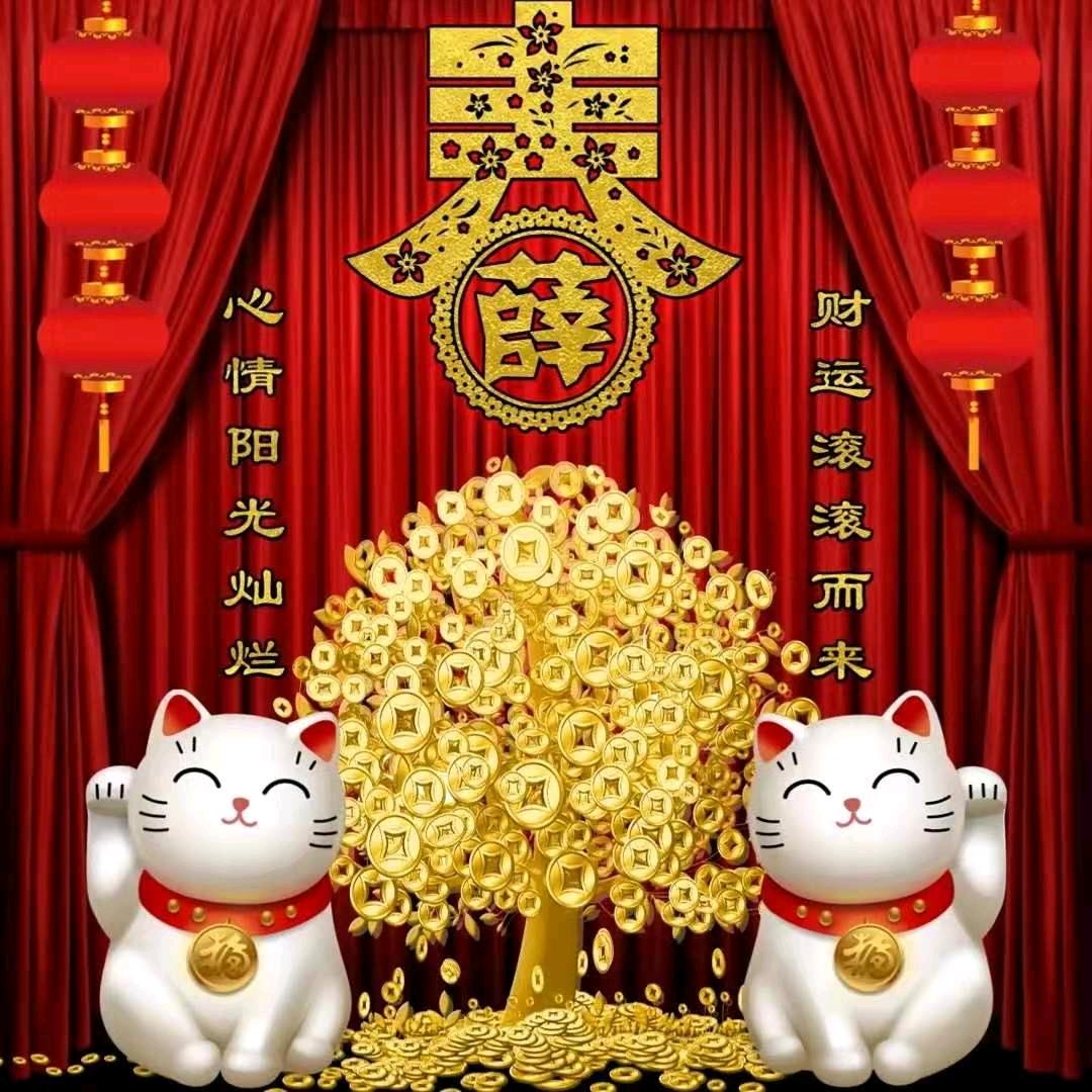 X大龍