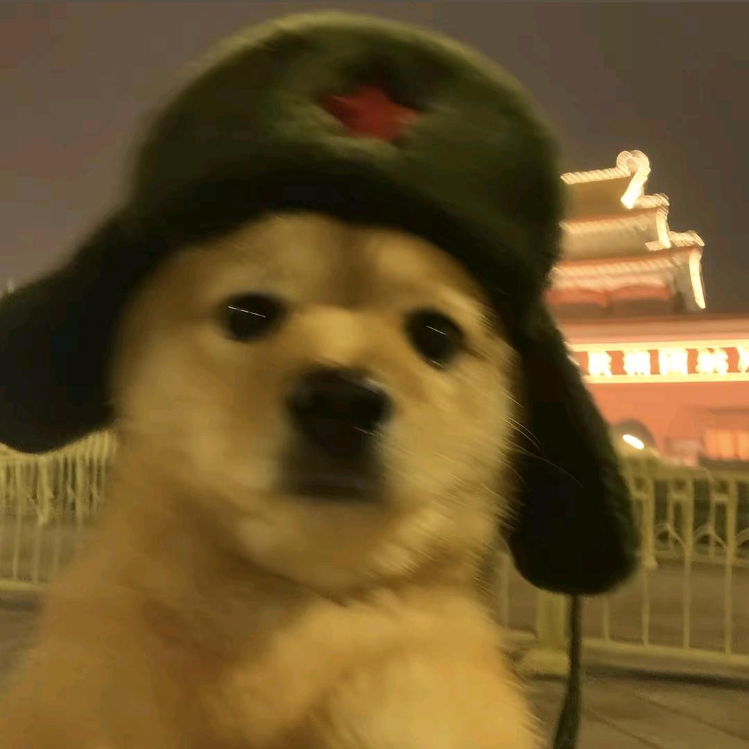 光芒照四方