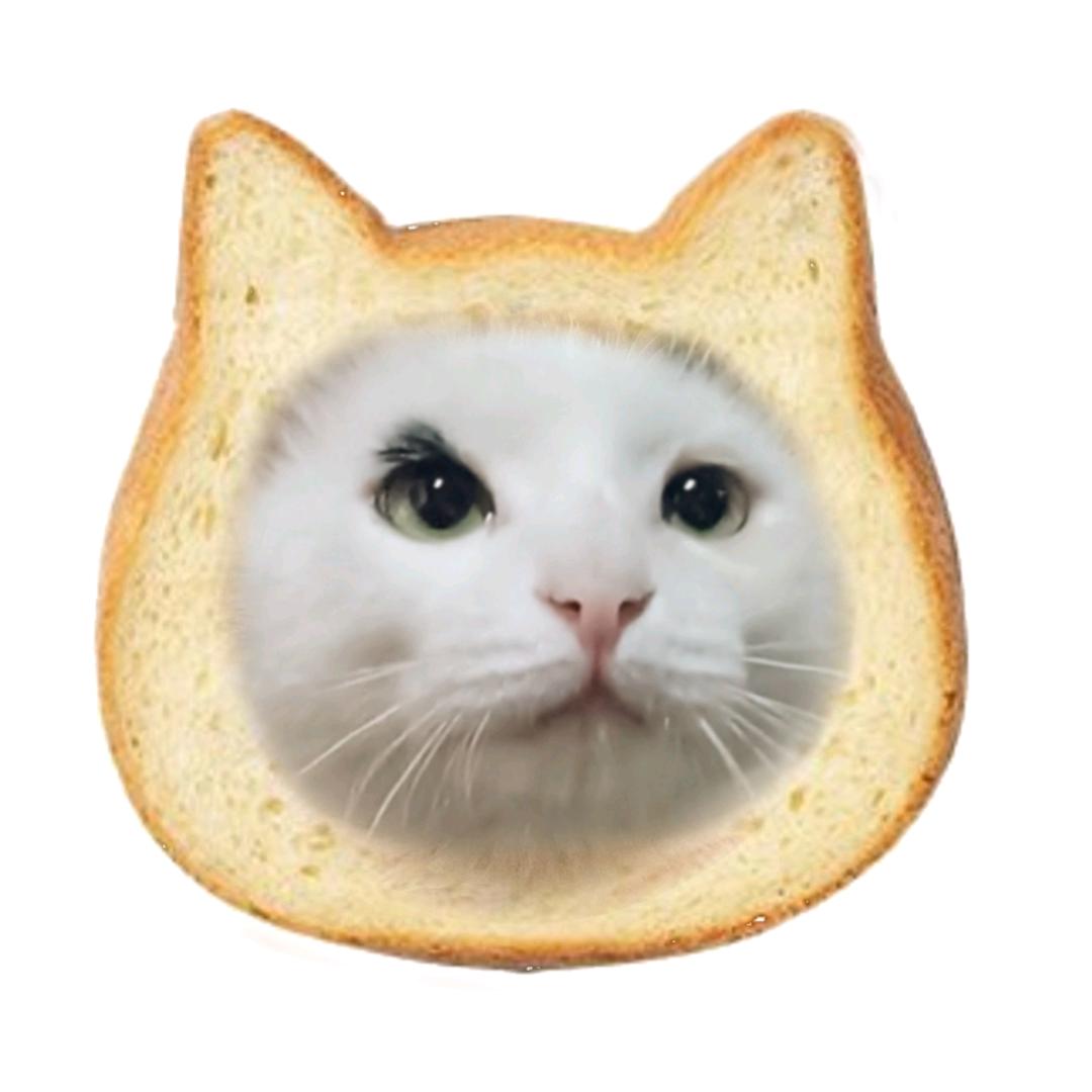 我的小猫和信