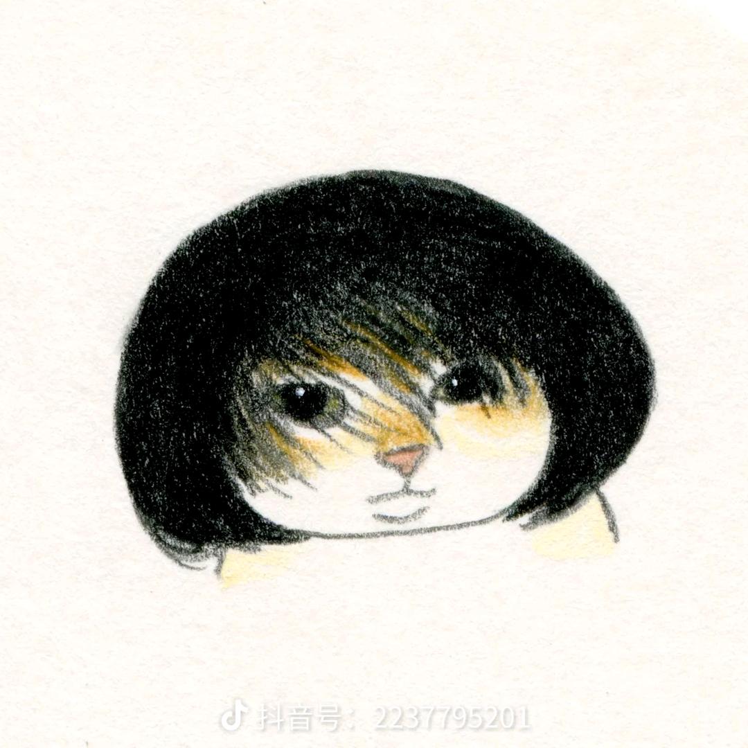 道是头头