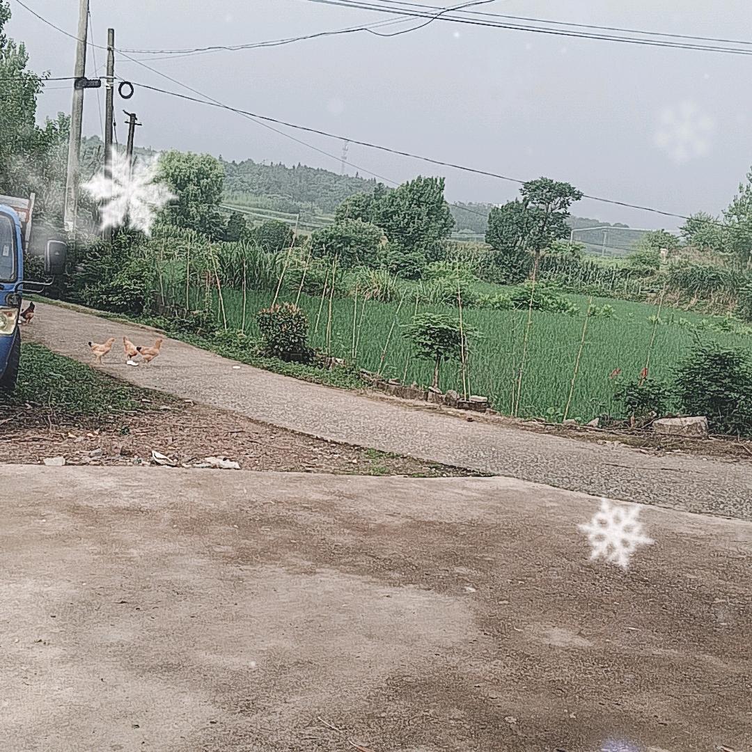 农村小老头