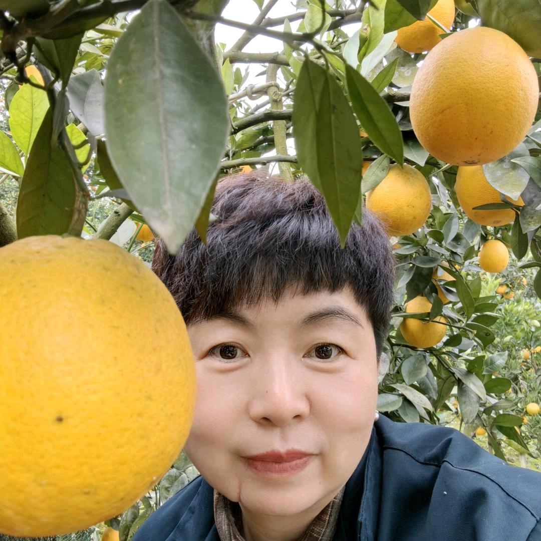 莉姐心选农产品