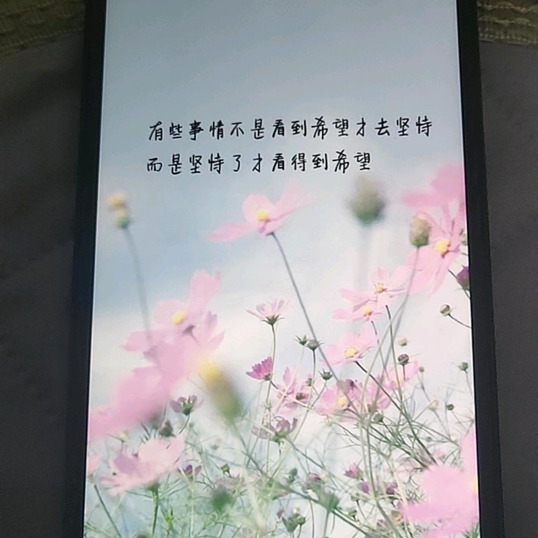 豪垛宇百货店