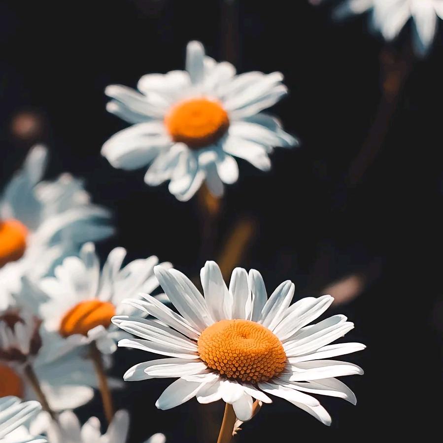 ❤️🧡💛💚💙💜