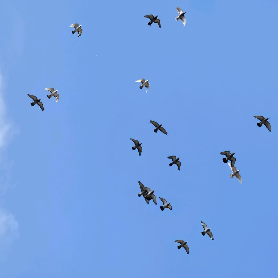 空空