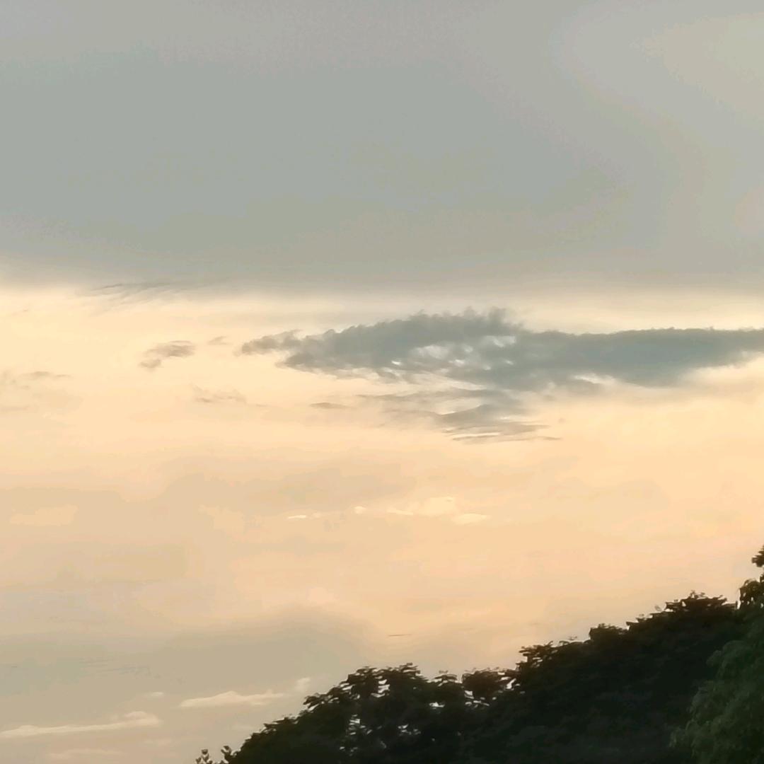 家有两宝爱跳舞