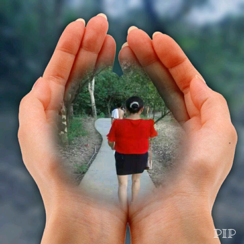 蓝草