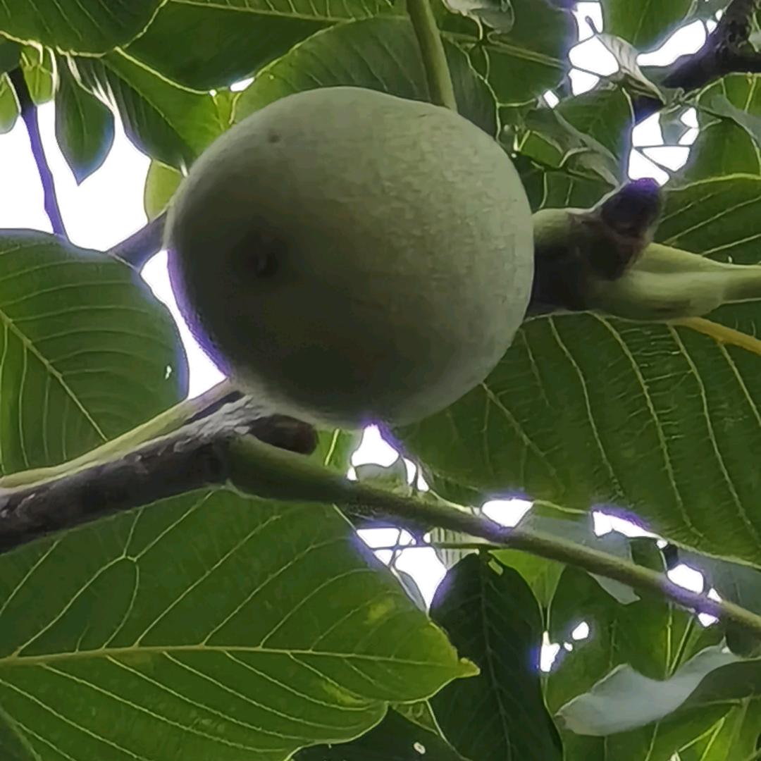 绝版女子～～看淡人生
