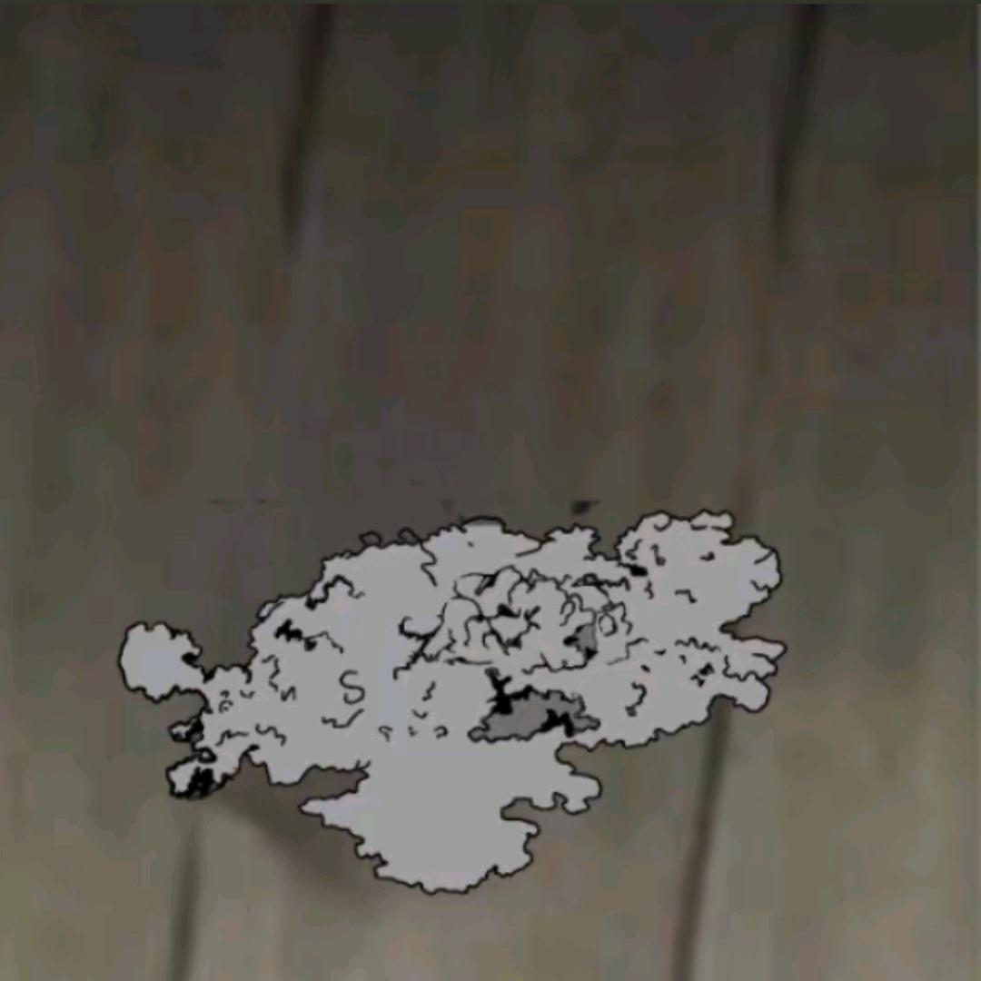 白面（子阳大哥）