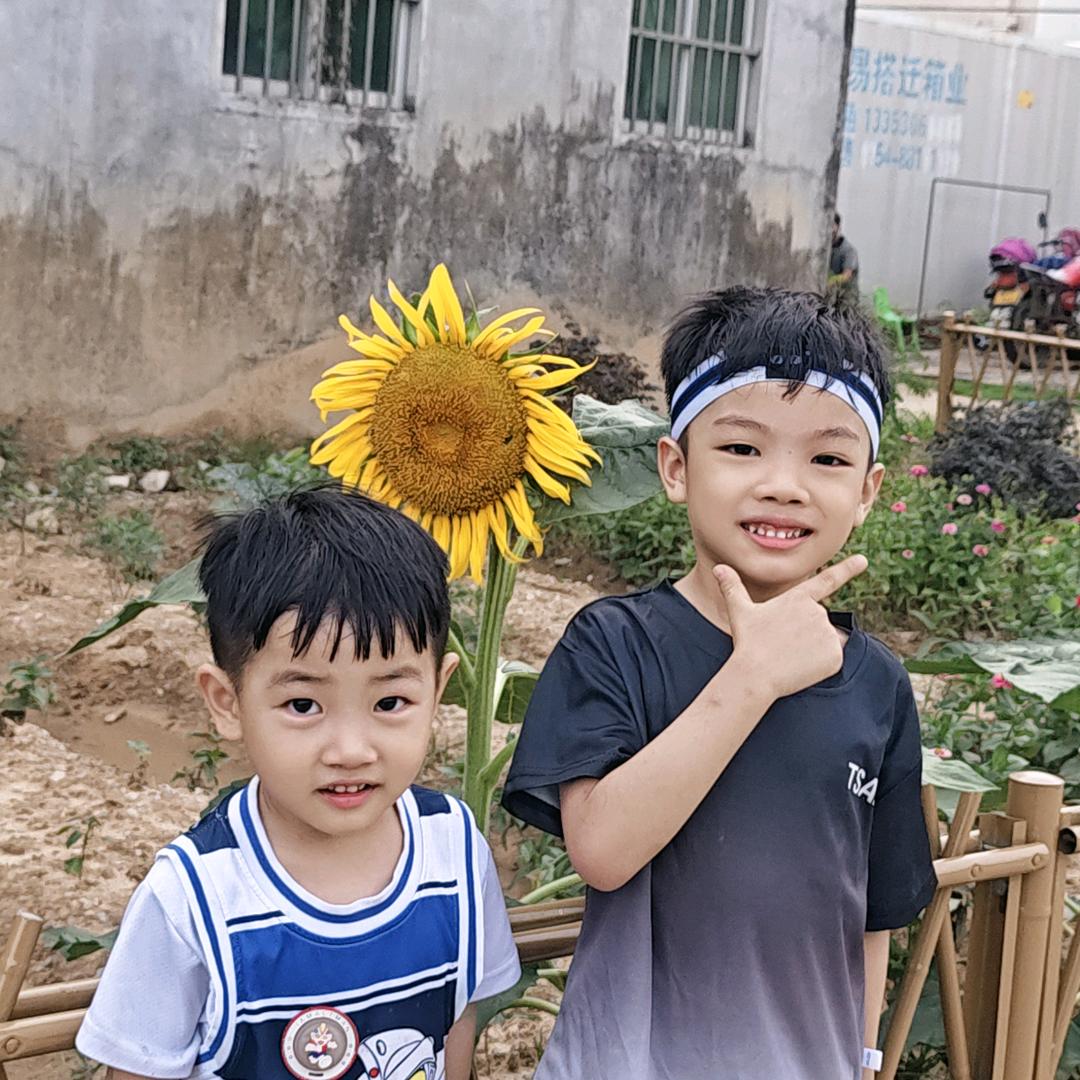 立艺广告（同行安装）