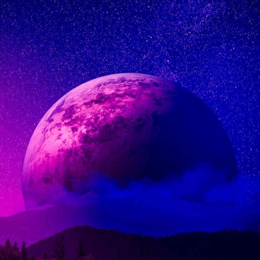 严选好物（奋斗版）