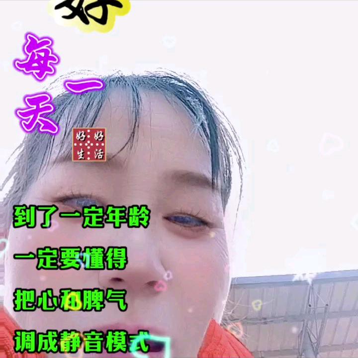 大山里的小狗