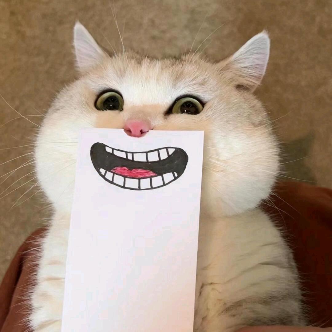 小七🤪᭄