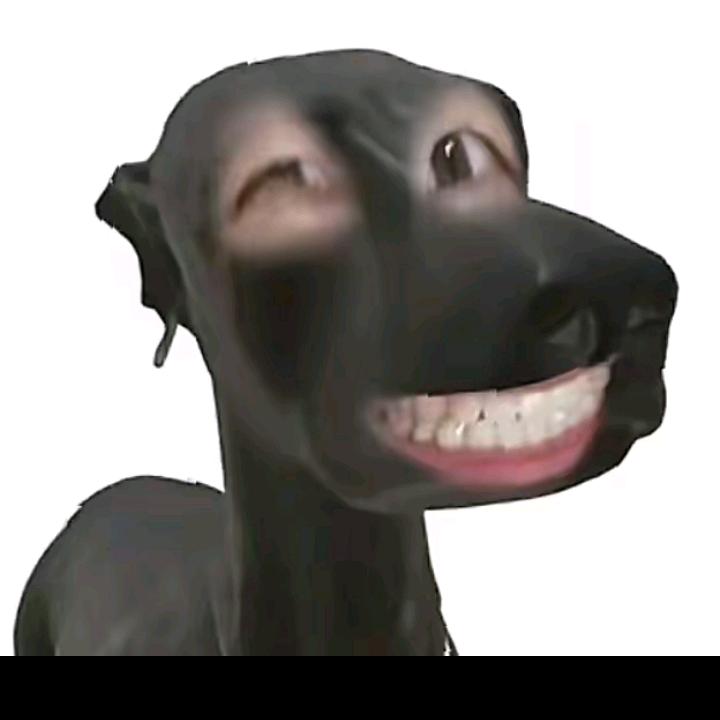 试试看吧看吧