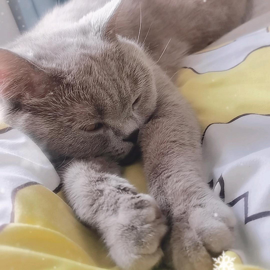 小小的芙芙长大了