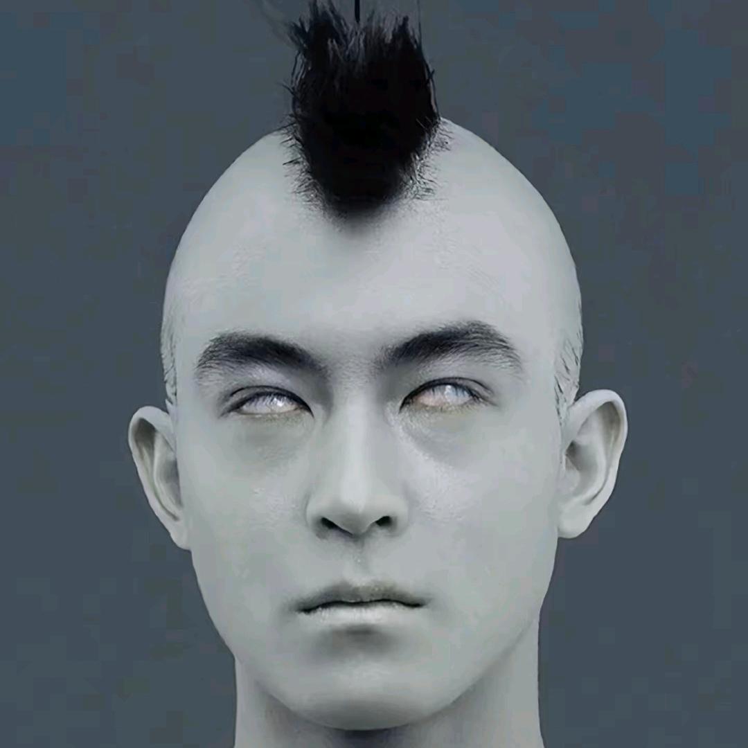 西伯利亚草原狼爱上家养纯情霸道小边牧