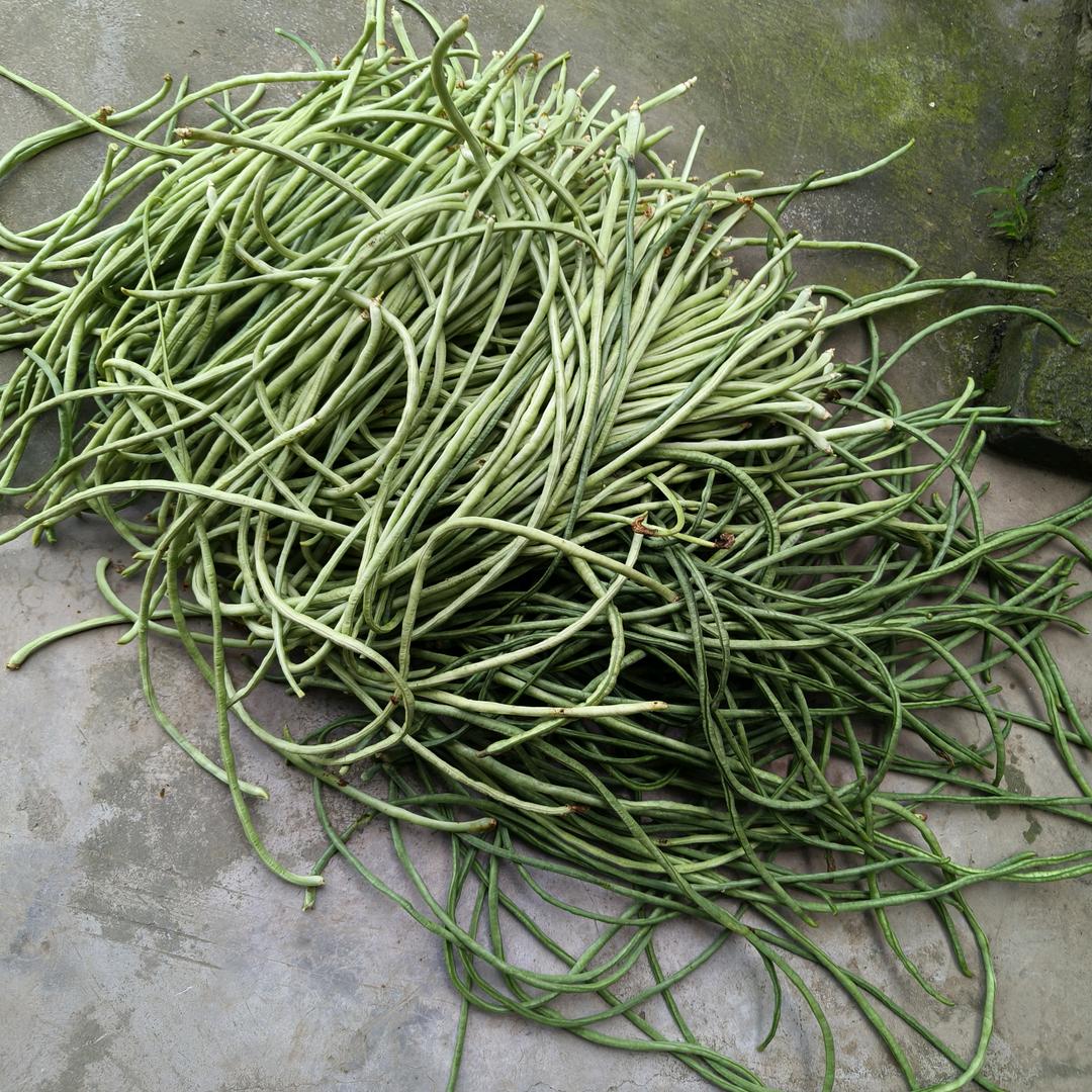 王姐下午1：20开播亲友们准时来直播间