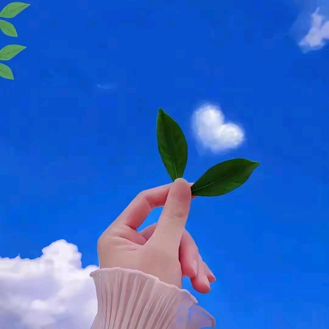 巧笑倩兮