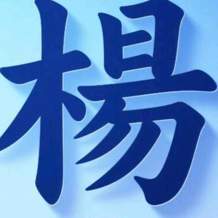 湖北老杨
